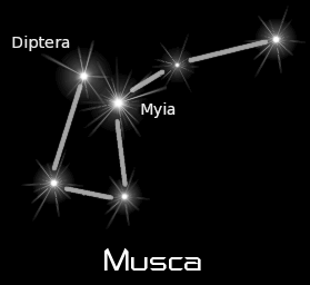 Free Constellations Clipart