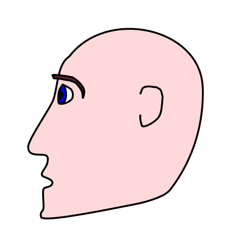 clipart of head - photo #36