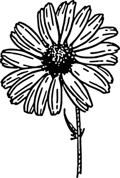 flower clip art free black and white. Free Daisy Clipart