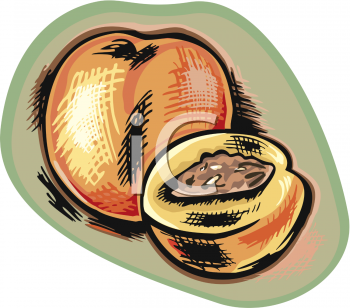Peach Clipart