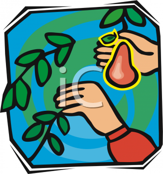 Harvest Clipart