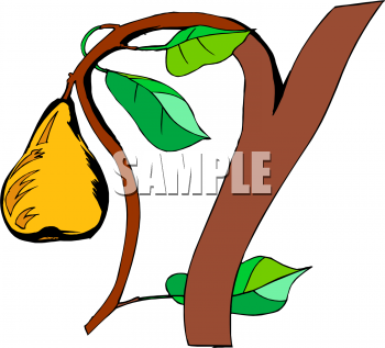 Pear Clipart