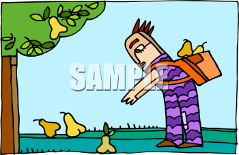 Pear Clipart