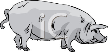 Mammal Clipart