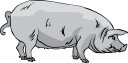 Mammal Clipart