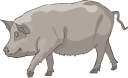 Mammal Clipart