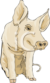 Mammal Clipart