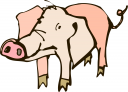 Elephant Clipart