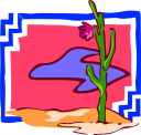 Cactus Clipart