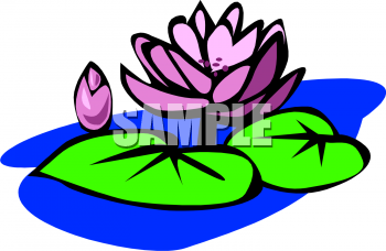 Lily Clipart