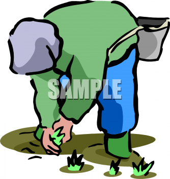 Harvest Clipart