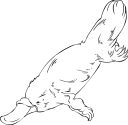 Mammal Clipart