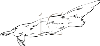 Mammal Clipart