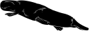 Mammal Clipart