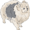 Dog Clipart