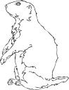 Mammal Clipart