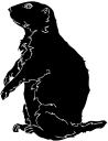 Dog Clipart