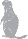 Mammal Clipart