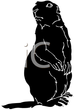 Mammal Clipart