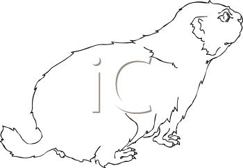 Mammal Clipart