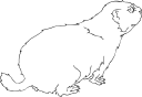 Mammal Clipart