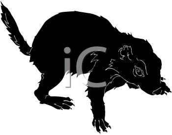 Mammal Clipart