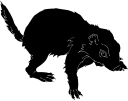 Mammal Clipart