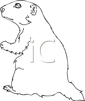 Mammal Clipart