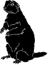 Mammal Clipart