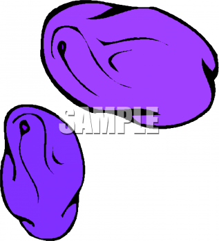 Potato Clipart
