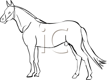 Horse Clipart