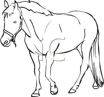 Horse Clipart