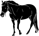 Horse Clipart