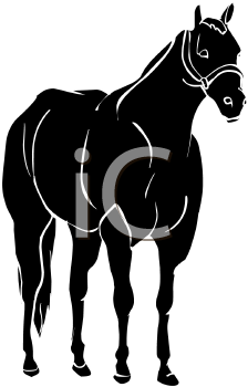 Horse Clipart