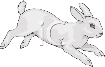 Mammal Clipart