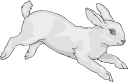 Mammal Clipart