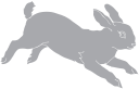 Mammal Clipart