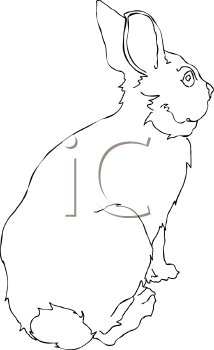 Mammal Clipart