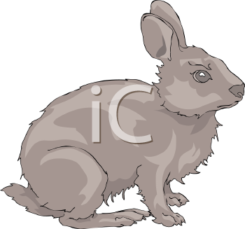 Mammal Clipart