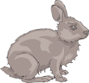 Mammal Clipart