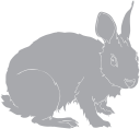 Mammal Clipart