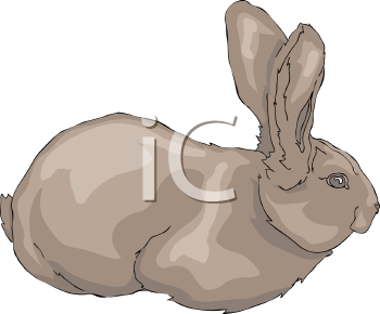 Mammal Clipart