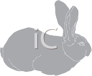 Mammal Clipart