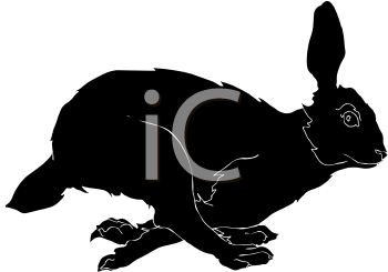 Mammal Clipart