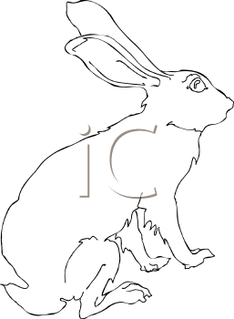 Mammal Clipart