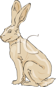Mammal Clipart