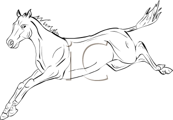 Horse Clipart