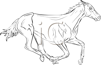 Horse Clipart
