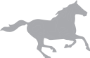 Horse Clipart