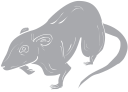 Mammal Clipart